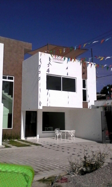 c393 - 02.jpg